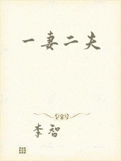 一妻二夫封面