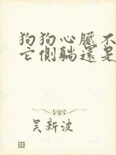 狗狗心脏不好让它侧躺还是趴着好