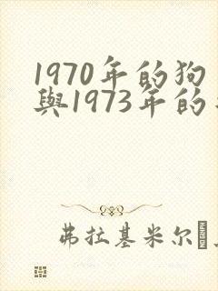 1970年的狗与1973年的牛配吗