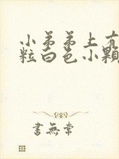 小弟弟上有一粒粒白色小颗粒