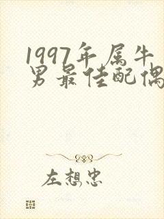 1997年属牛男最佳配偶属相封面
