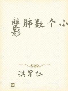 双肺数个小结节影