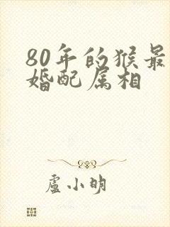 80年的猴最佳婚配属相