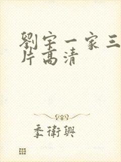 刘宇一家三口照片高清