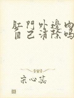 肛门外边肉球能自己消除吗封面