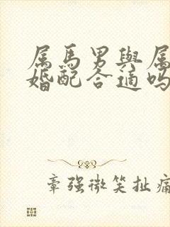 属马男与属马女婚配合适吗