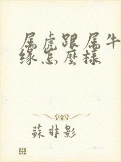 属虎跟属牛的姻缘怎么样