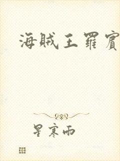 海贼王罗宾本子