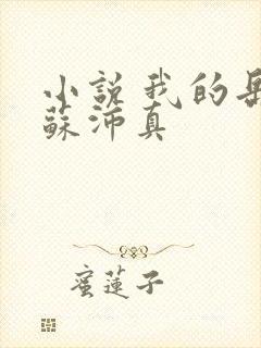 小说 我的岳母苏沛真