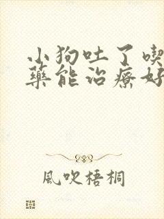 小狗吐了吃什么药能治疗好封面