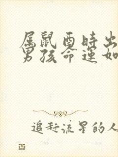 属鼠酉时出生的男孩命运如何