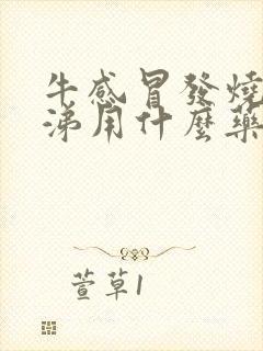 牛感冒发烧流鼻涕用什么药