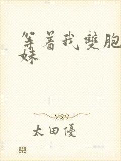 等着我双胞胎姐妹