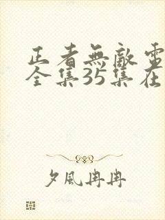 正者无敌电视剧全集35集在线播放