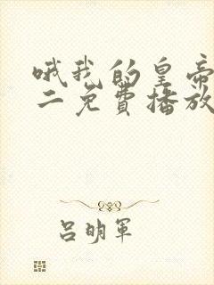 哦我的皇帝陛下二免费播放封面