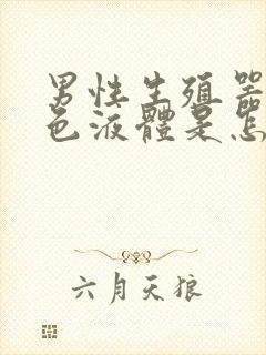 男性生殖器流白色液体是怎么回事