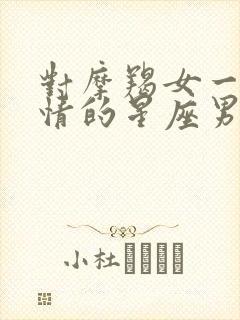 对摩羯女一见钟情的星座男