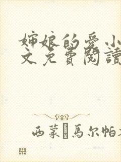 婶娘的爱小说全文免费阅读