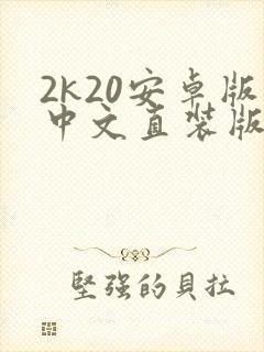 2k20安卓版中文直装版