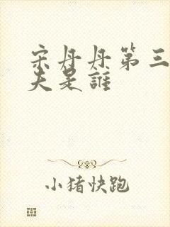 宋丹丹第三任丈夫是谁