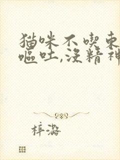 猫咪不吃东西,呕吐,没精神