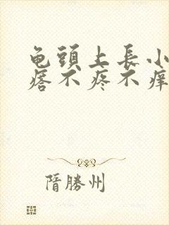 龟头上长小红疙瘩不疼不痒