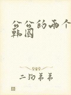 公公的两个儿媳韩国
