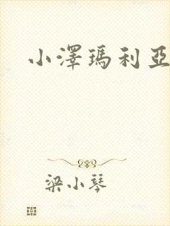 小泽玛利亚二区封面