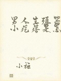 男人生殖器长满小疙瘩是怎么回事