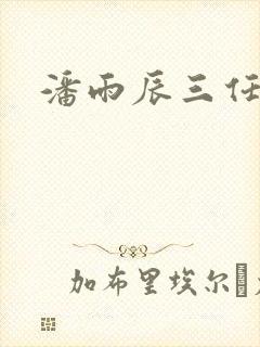 潘雨辰三任丈夫