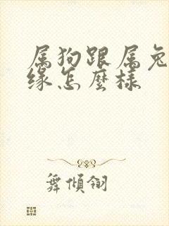 属狗跟属兔的姻缘怎么样