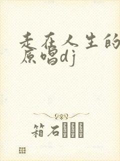 走在人生的路口原唱dj