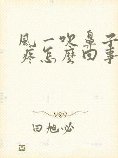 风一吹鼻子疼头疼怎么回事