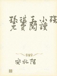 孙琪王小强小说免费阅读