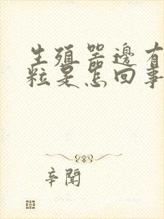 生殖器边有小肉粒是怎回事封面