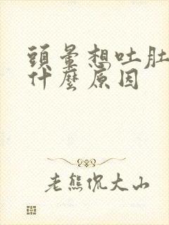 头晕想吐肚子痛什么原因