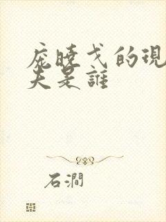 庞晓戈的现任丈夫是谁封面