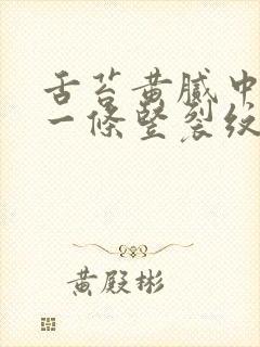 舌苔黄腻中间有一条竖裂纹