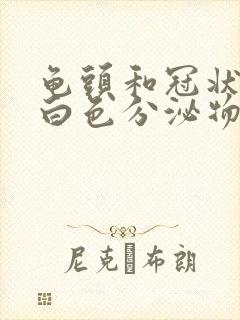 龟头和冠状沟有白色分泌物,发出恶臭