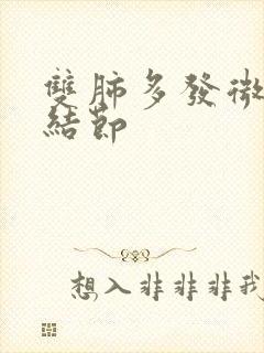 双肺多发微及小结节