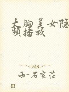 大胸美女隐私视频播放