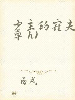 少主的宠夫(女尊 h)