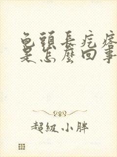 龟头长疙瘩痒痒是怎么回事