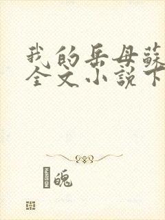 我的岳母苏霈真全文小说下载