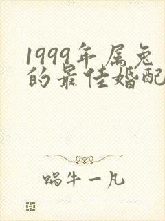 1999年属兔的最佳婚配表封面
