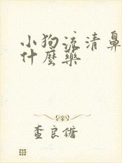 小狗流清鼻涕吃什么药