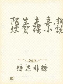 陌生夫妻,柳如烟贺强小说