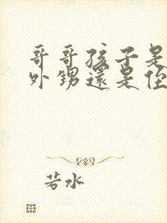 哥哥孩子是我的外甥还是侄子