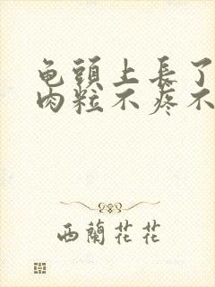 龟头上长了个小肉粒不疼不痒