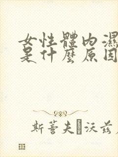 女性体内湿热重是什么原因引起的